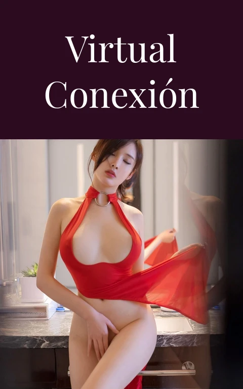 Virtual Conexión