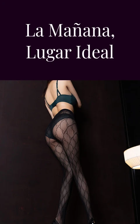 El bosque por la mañana, lugar ideal para coger