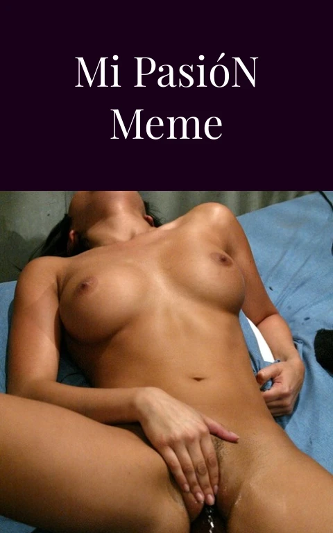 El Diseño Es Mi Pasión Meme Desatado