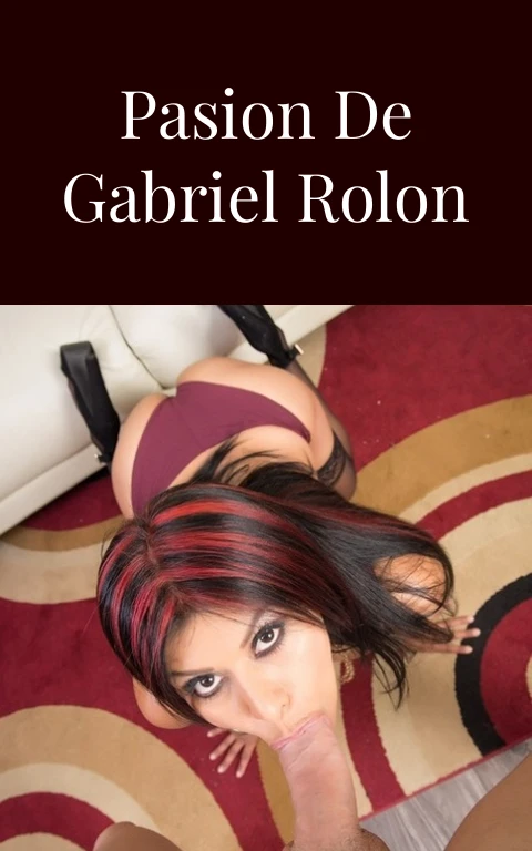 El Precio de la Pasion de Gabriel Rolon PDF Sensual